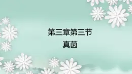 2.3.3  真菌  课件2024年初中秋季济南版生物七年级上册