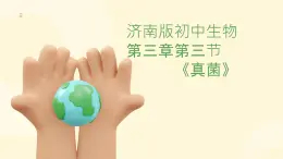 2.3.3真菌课件---2024年初中秋季济南版生物七年级上册