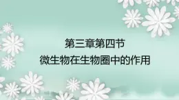 2.3.4  微生物在生物圈中的作用  课件2024年初中秋季济南版生物七年级上册