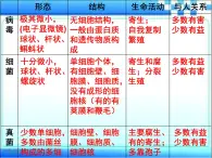 2.3.4 微生物在生物圈中的作用课件2024年初中秋季济南版生物七年级上册