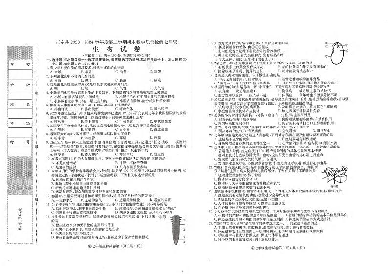 河北省石家庄市正定县2023-2024学年七年级下学期期末教学质量检测生物试卷第1页