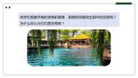 济南版（2024）七年级上册第一节 生物具有基本的生命特征完美版课件ppt