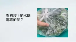 2.1.2 植物的蒸腾作用课件2024年初中秋季济南版生物七年级上册