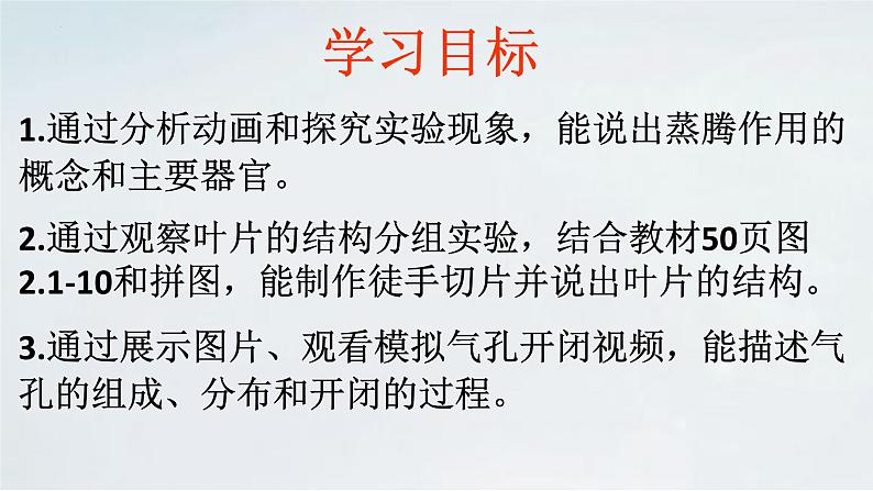2.1.2 植物的蒸腾作用课件2024年初中秋季济南版生物七年级上册第3页