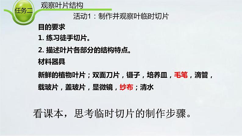 2.1.2 植物的蒸腾作用课件2024年初中秋季济南版生物七年级上册第7页