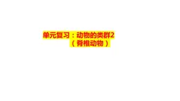 2.2.2动物的类群+-脊椎动物复习课件2024年初中秋季济南版生物七年级上册