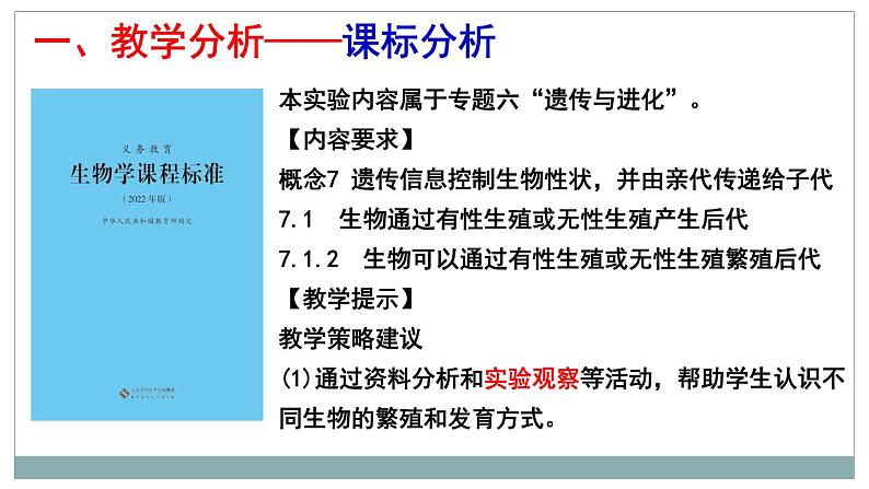 4.2.3鸟的生殖和发育(观察鸡卵的结构)说课课件 --2024年初中秋季济南版生物八年级上册第3页