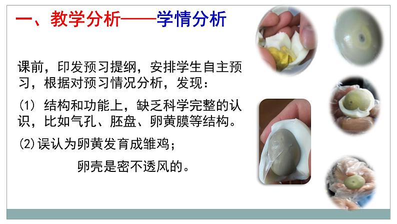 4.2.3鸟的生殖和发育(观察鸡卵的结构)说课课件 --2024年初中秋季济南版生物八年级上册第5页
