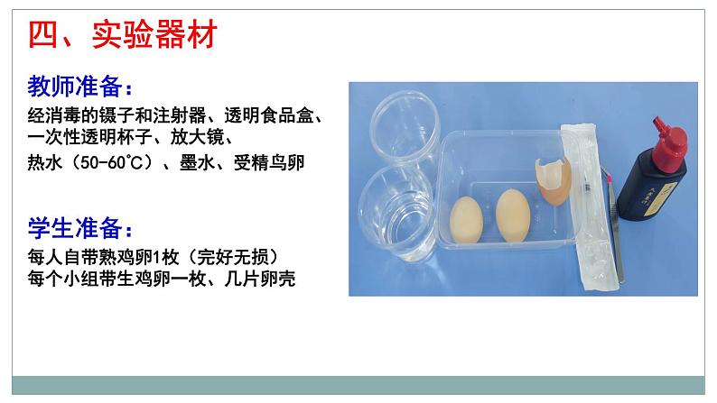 4.2.3鸟的生殖和发育(观察鸡卵的结构)说课课件 --2024年初中秋季济南版生物八年级上册第8页