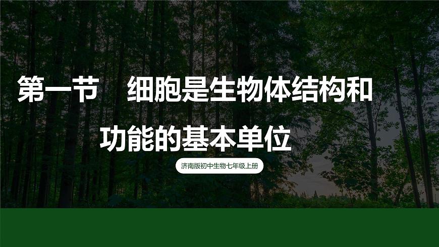 濟(jì)南版 初中生物七年級(jí)上冊1.2.1細(xì)胞是生物體結(jié)構(gòu)和功能的基本單位課件+視頻第2頁