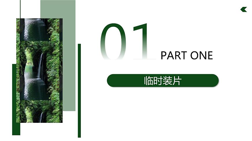 濟(jì)南版 初中生物七年級(jí)上冊1.2.1細(xì)胞是生物體結(jié)構(gòu)和功能的基本單位課件+視頻第4頁