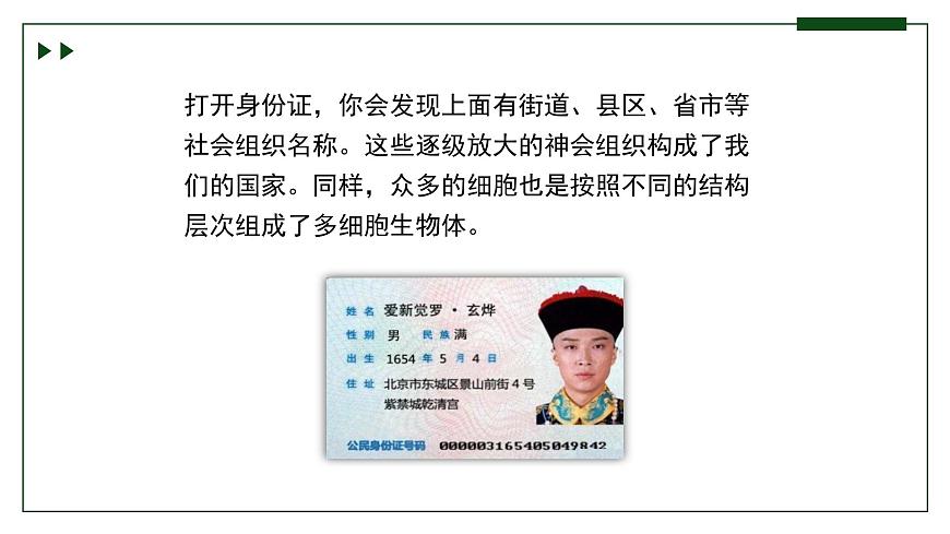 濟南版 初中生物七年級上冊1.2.3生物體在結(jié)構(gòu)和功能上是一個統(tǒng)一整體課件+視頻第1頁