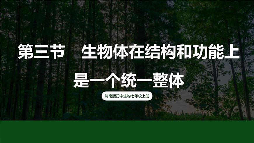 濟南版 初中生物七年級上冊1.2.3生物體在結(jié)構(gòu)和功能上是一個統(tǒng)一整體課件+視頻第2頁