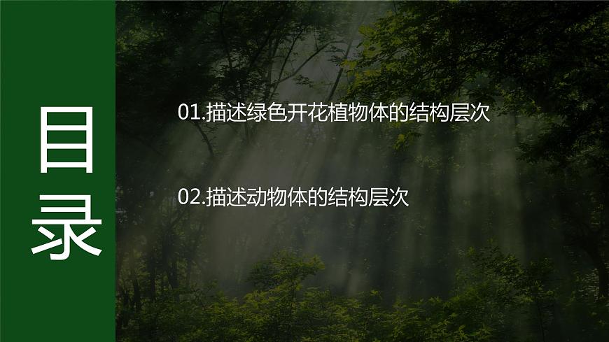 濟南版 初中生物七年級上冊1.2.3生物體在結(jié)構(gòu)和功能上是一個統(tǒng)一整體課件+視頻第3頁