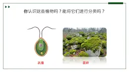 济南版 初中生物七年级上册2.1.1孢子植物主要有藻类、苔藓和蕨类植物课件+视频