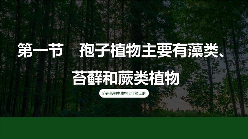 濟(jì)南版 初中生物七年級(jí)上冊(cè)2.1.1孢子植物主要有藻類、苔蘚和蕨類植物課件+視頻第2頁