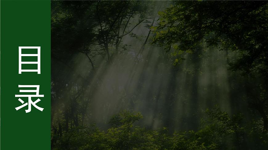 濟(jì)南版 初中生物七年級(jí)上冊(cè)2.1.1孢子植物主要有藻類、苔蘚和蕨類植物課件+視頻第3頁