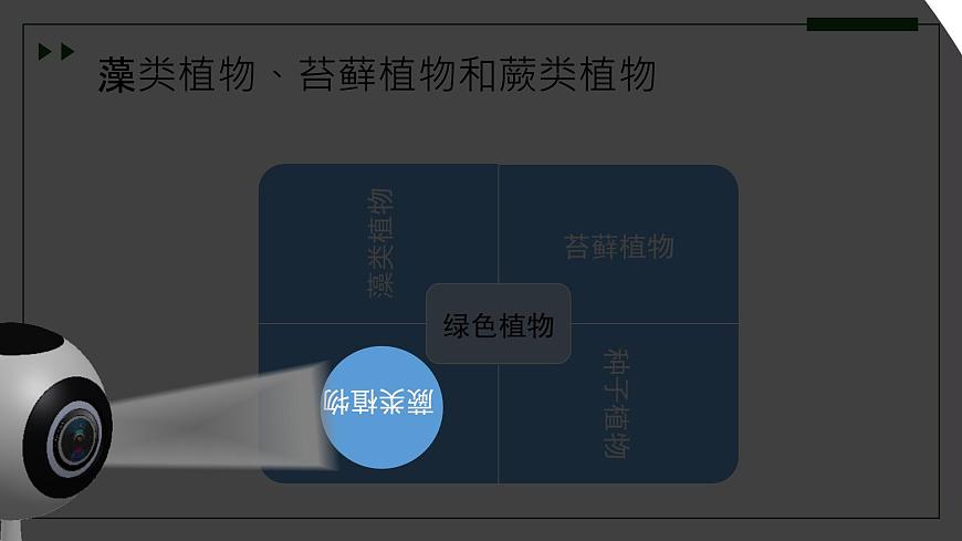 濟(jì)南版 初中生物七年級(jí)上冊(cè)2.1.1孢子植物主要有藻類、苔蘚和蕨類植物課件+視頻第6頁