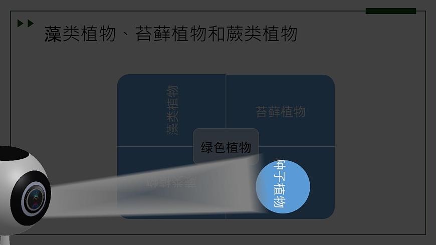 濟(jì)南版 初中生物七年級(jí)上冊(cè)2.1.1孢子植物主要有藻類、苔蘚和蕨類植物課件+視頻第7頁