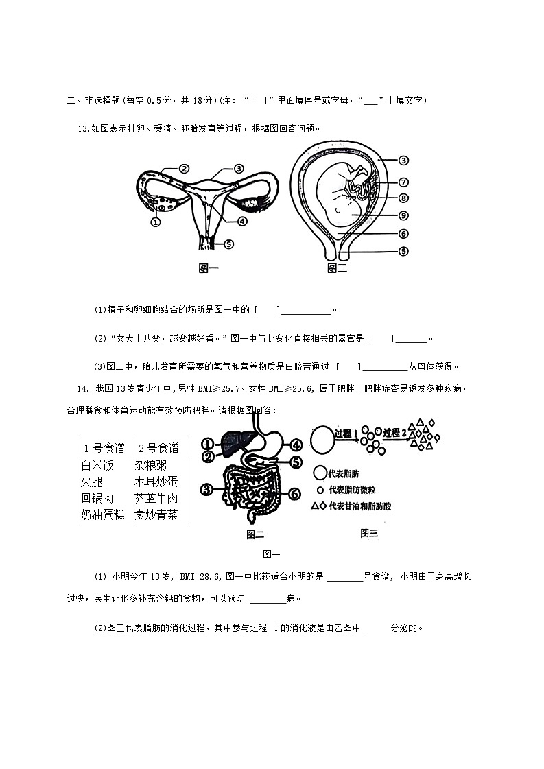 辽宁省阜新市实验中学2023-2024学年七年级下学期7月期末生物试题第3页