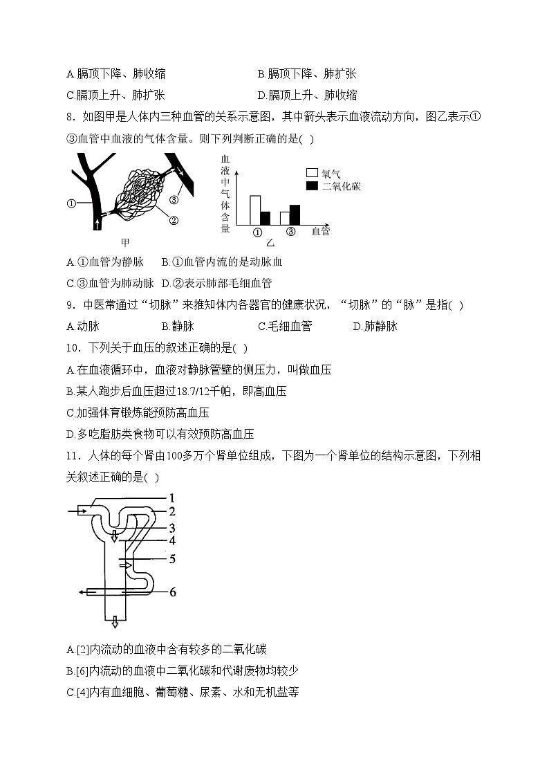 河南省洛阳市汝阳县2023-2024学年七年级下学期期末考试生物试卷(含答案)第2页
