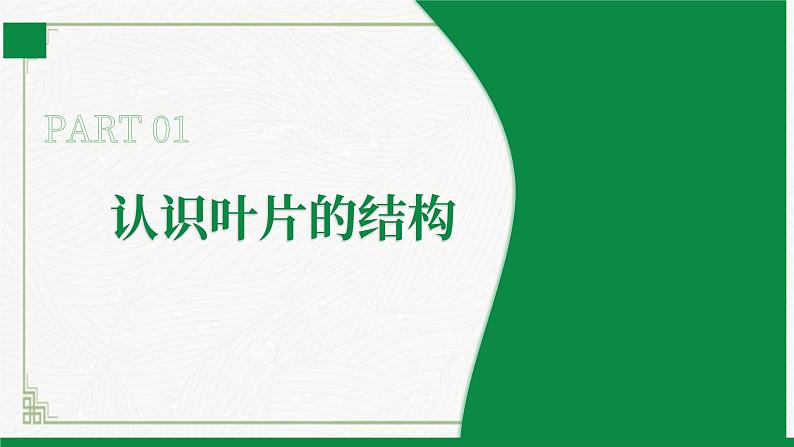 3.4.1光合作用第3课时(课件) 北师大版七上第5页