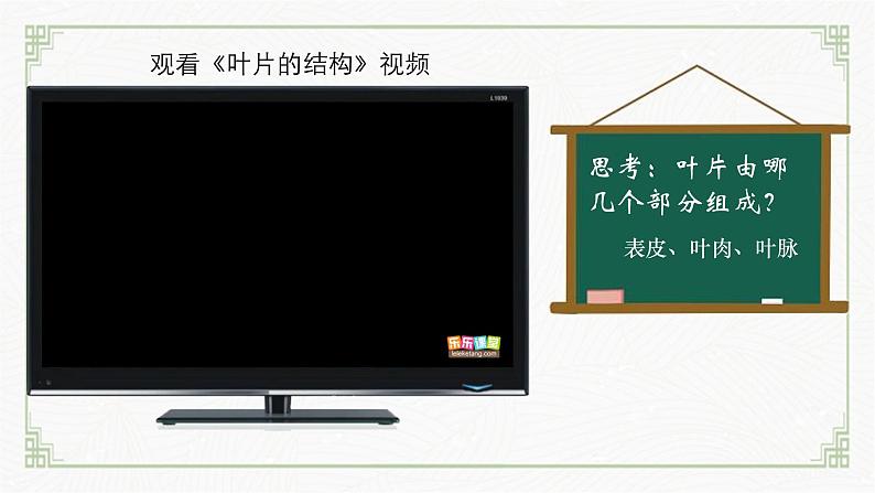 3.4.1光合作用第3课时(课件) 北师大版七上第6页