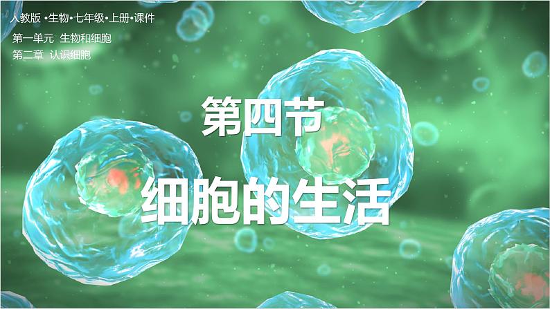 【人教版】七上生物 1.2.4 细胞的生活(课件+练习)01