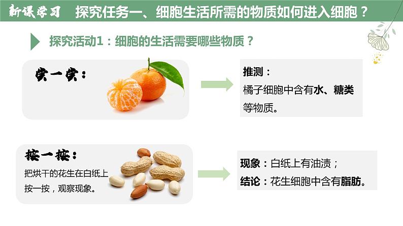 【人教版】七上生物 1.2.4 细胞的生活(课件+练习)06