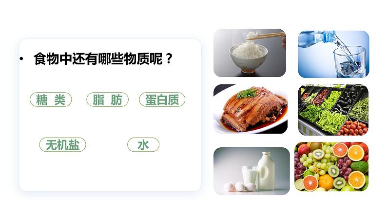 【人教版】七上生物 1.2.4 细胞的生活(课件+练习)07