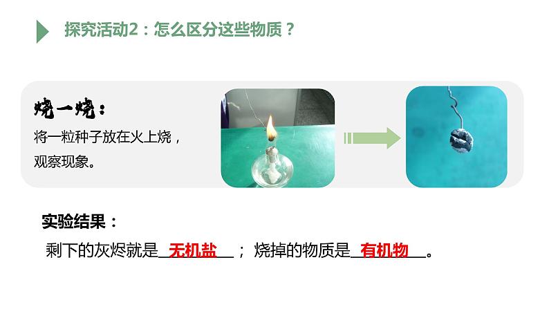 【人教版】七上生物 1.2.4 细胞的生活(课件+练习)08