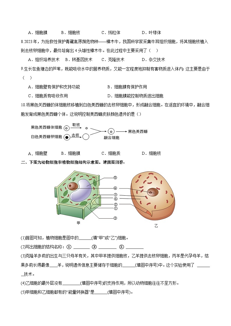 【人教版】七上生物 1.2.4 细胞的生活(课件+练习)02