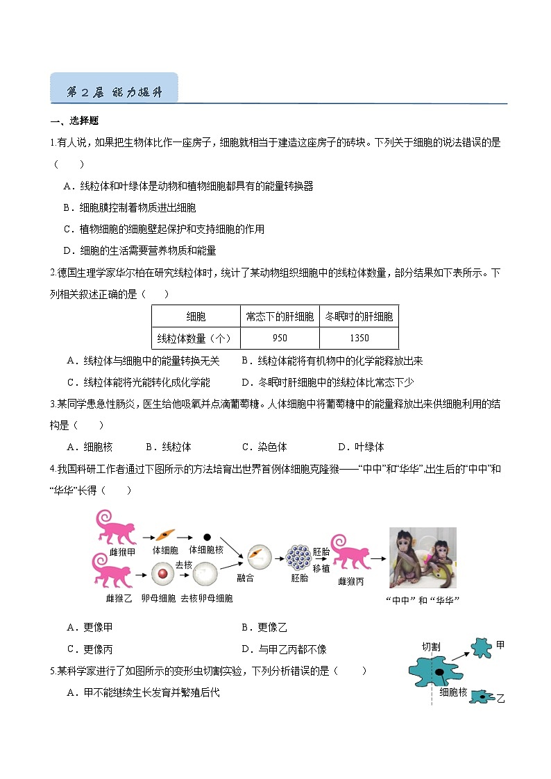 【人教版】七上生物 1.2.4 细胞的生活(课件+练习)03