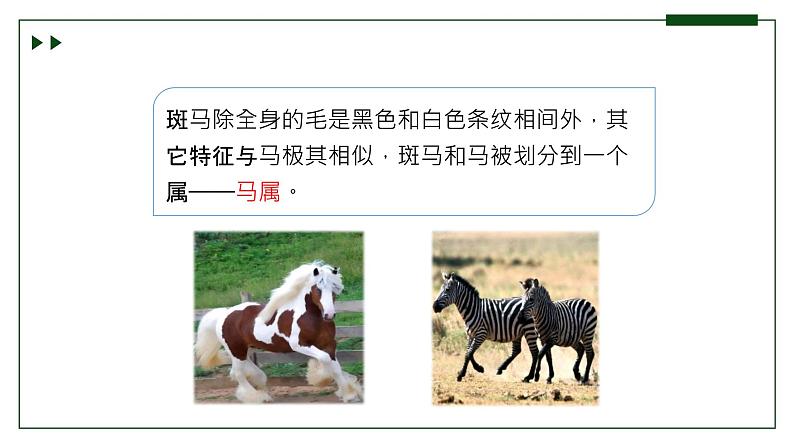 济南版 初中生物七年级上册2.4.2“种”是生物分类的基本单位课件+视频07
