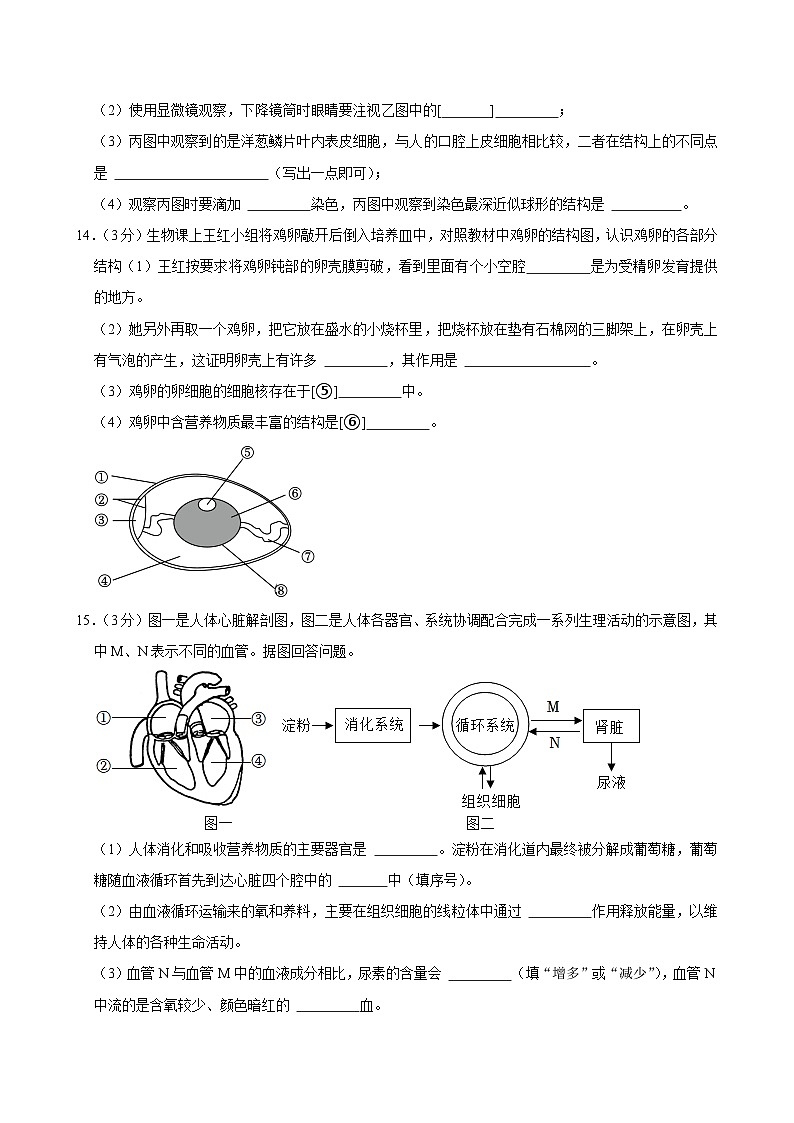 2024年辽宁省鞍山市海城市西部联盟中考生物三模试卷第3页
