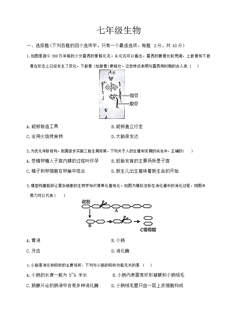 湖北省武汉市江岸区2023-2024学年七年级下学期期末生物试卷第1页