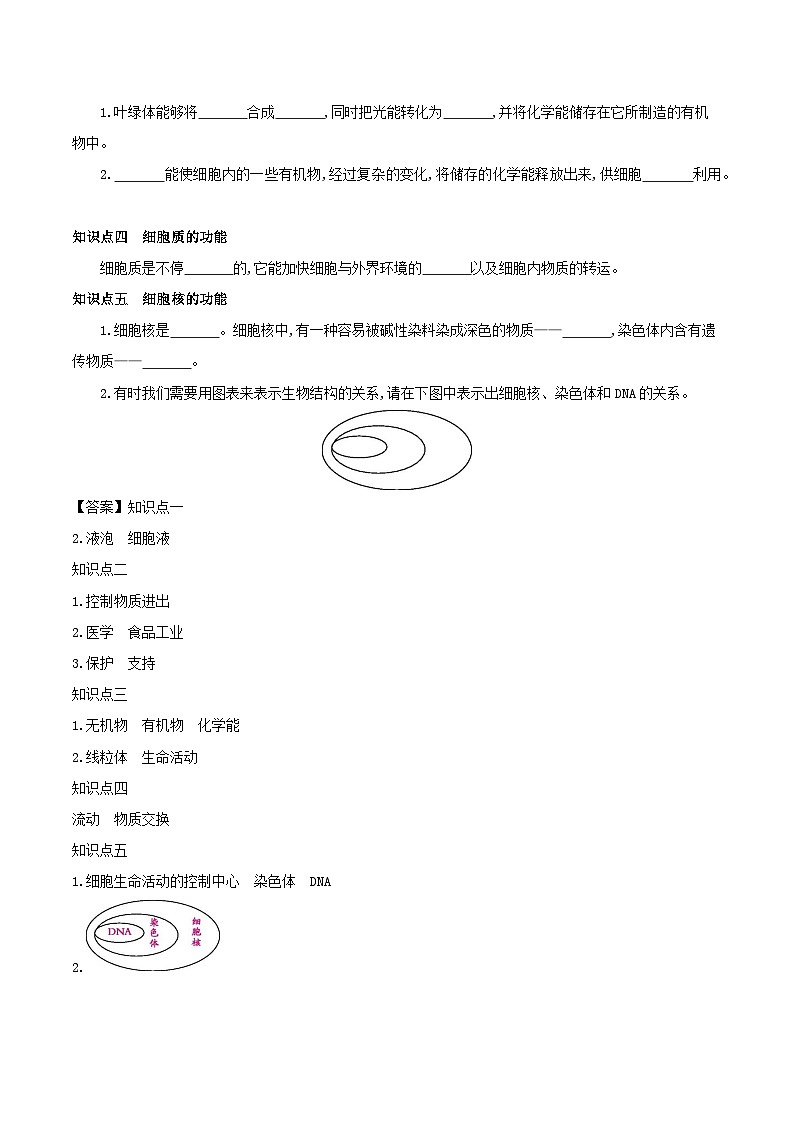 冀少版生物七年级上册 1.2.1 细胞(二、细胞的结构 三、细胞各部分的功能) 学案 (含答案)02