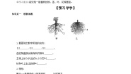初中生物冀少版七年级上册第一节  在实验室里观察植物优质学案