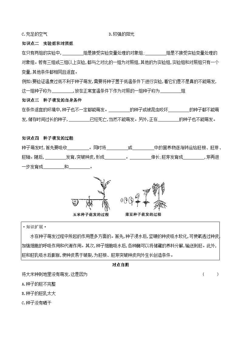 3.2.1 种子的萌发 学案(含答案) -生物人教版七年级上册02