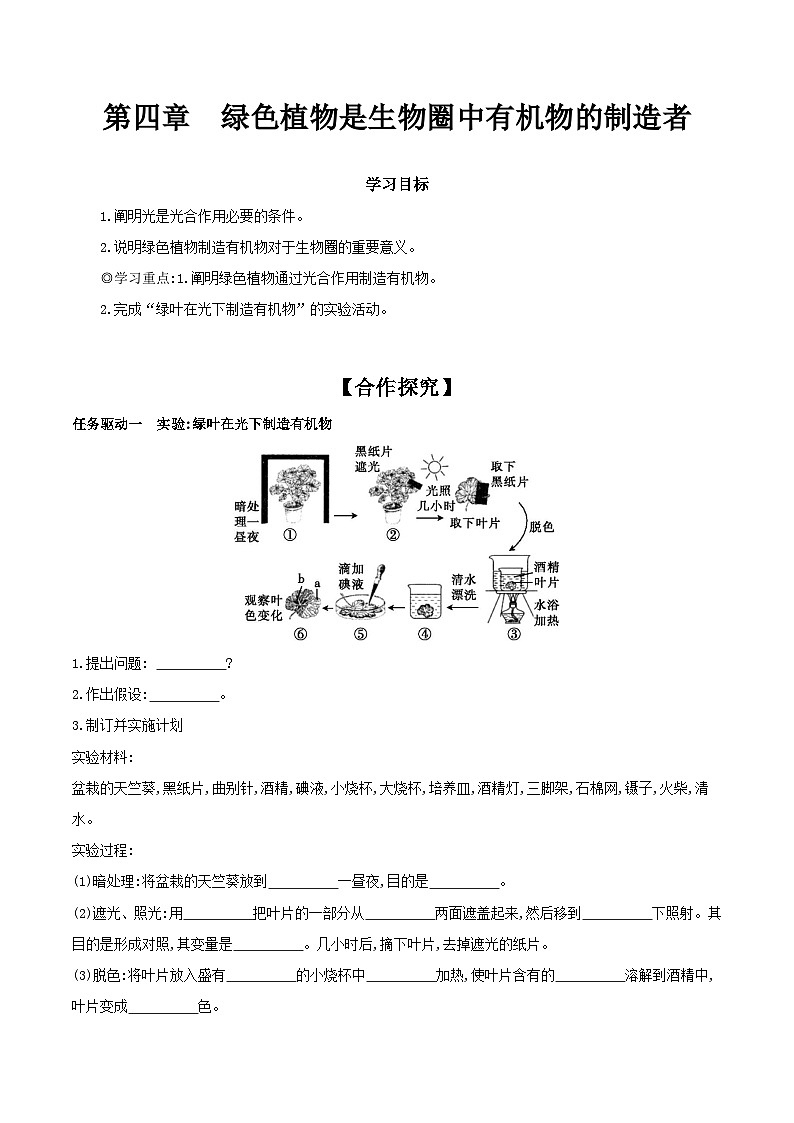 3.4 绿色植物是生物圈中有机物的制造者 学案(含答案) -生物人教版七年级上册01