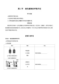 人教版 (新课标)七年级上册第二节 绿色植物的呼吸作用优秀学案设计
