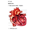 生物七年级下册第四单元 生物圈中的人第四章 人体内物质的运输第三节 输送血液的泵──心脏优质学案