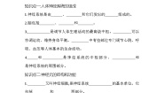 初中生物人教版 (新课标)七年级下册第二节 神经系统的组成优秀学案