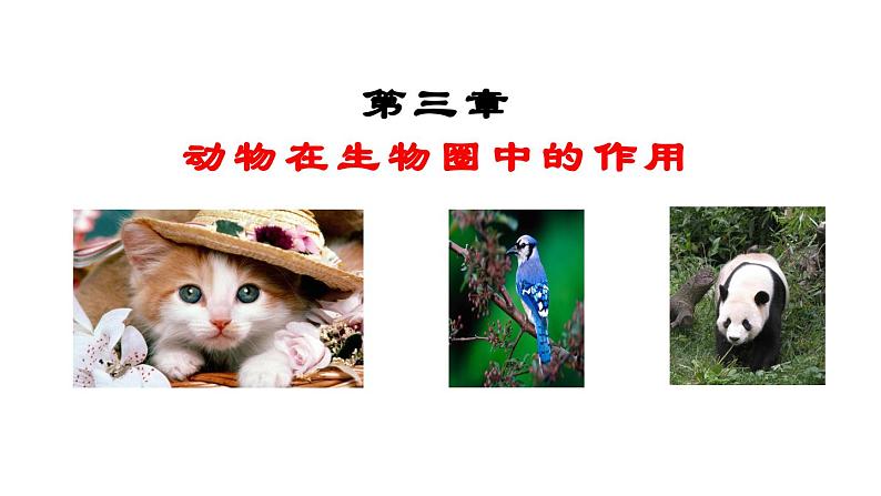 人教版八年级生物上册课件 5.3 动物在生物圈中的作用第1页