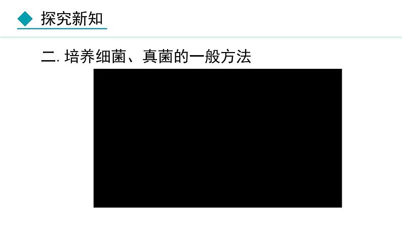 人教版八年级生物上册课件 5.4.1 细菌和真菌的分布05