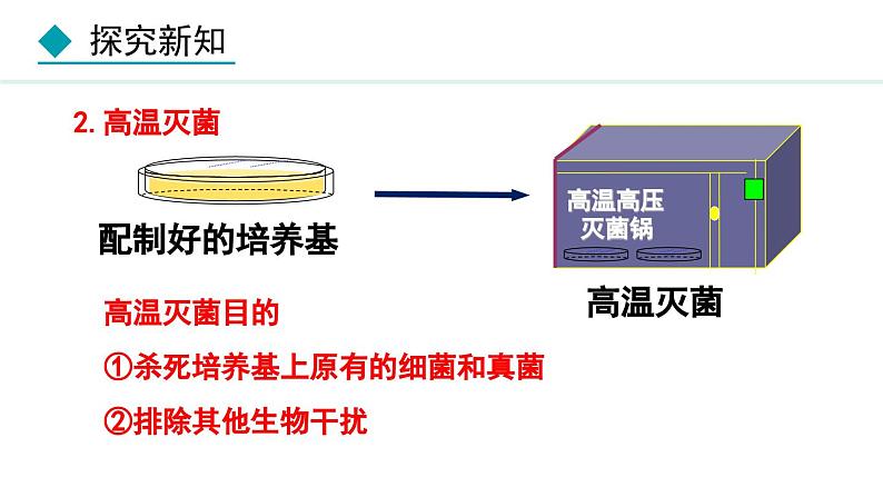 人教版八年级生物上册课件 5.4.1 细菌和真菌的分布07