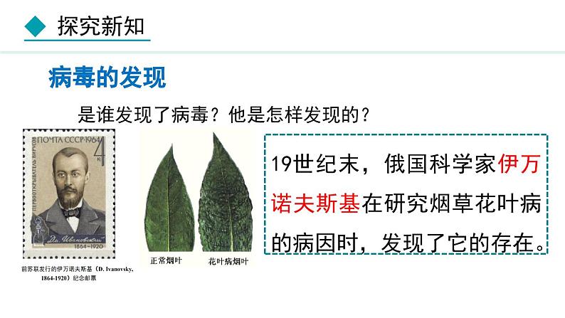 人教版八年级生物上册课件 5.5 病毒第3页