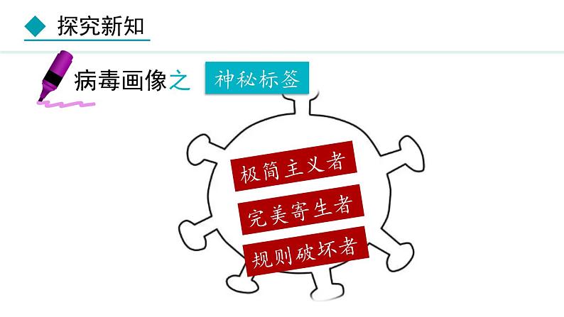 人教版八年级生物上册课件 5.5 病毒第6页
