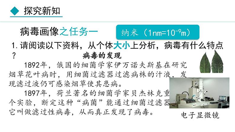 人教版八年级生物上册课件 5.5 病毒第7页