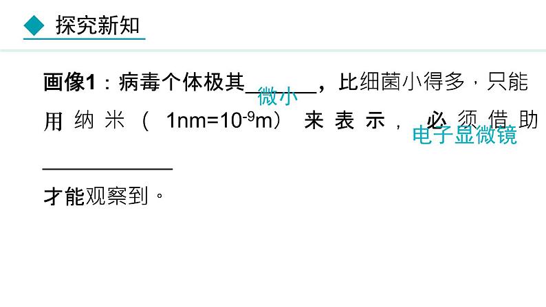 人教版八年级生物上册课件 5.5 病毒第8页